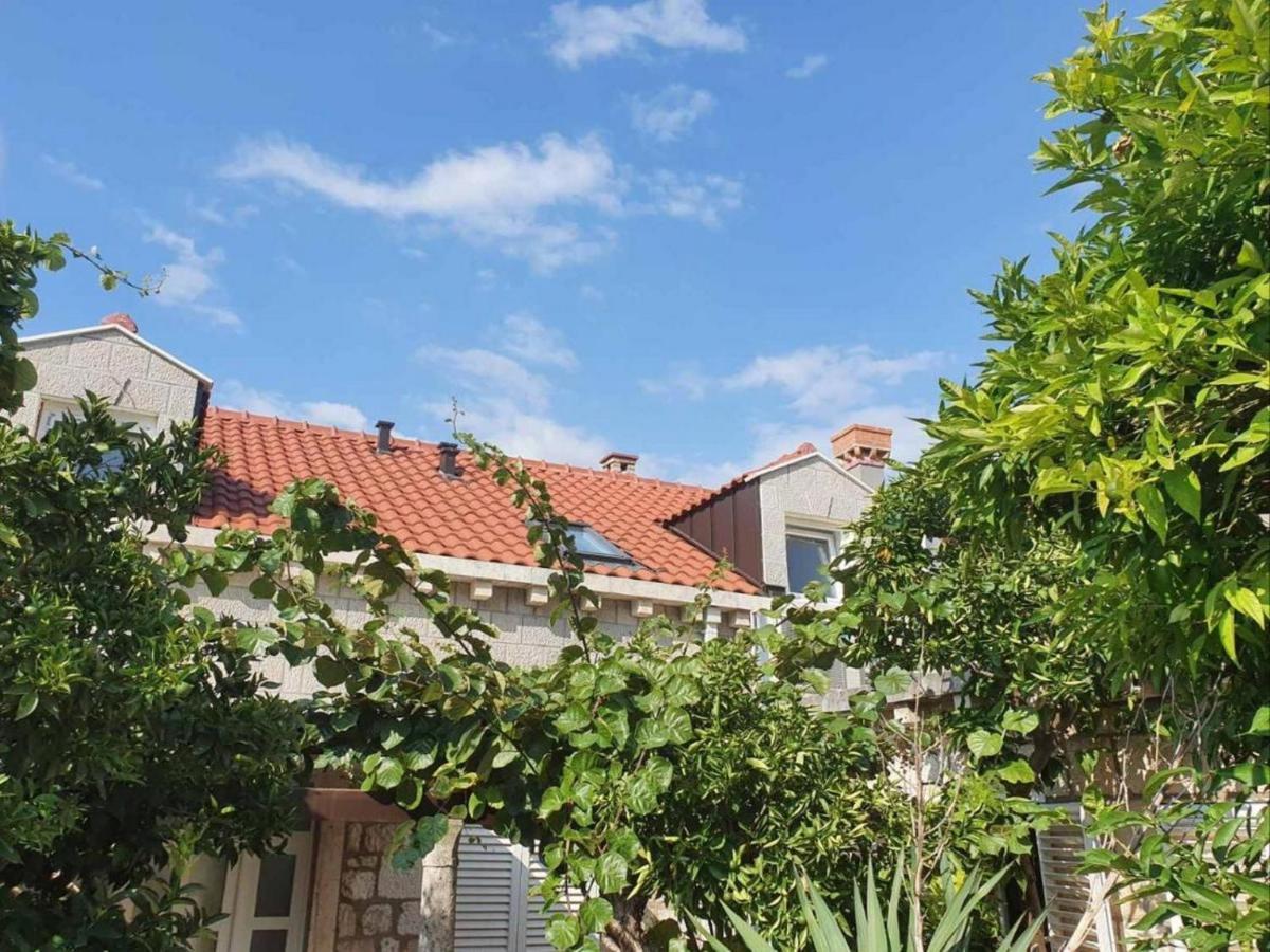 Dubrovnik Tirena Apartment Bagian luar foto